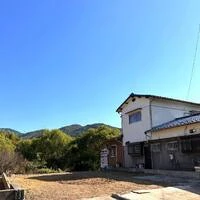 画像239