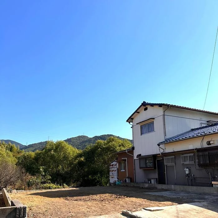 画像239